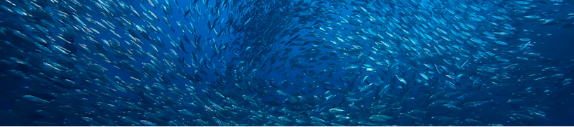 Aujourd’hui je vous incite à tourner en rond.